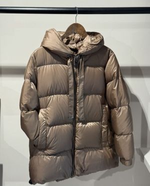 SEIA 072 camel