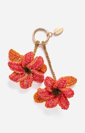 CHARM LIS orange