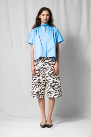 BRAN white zebra
