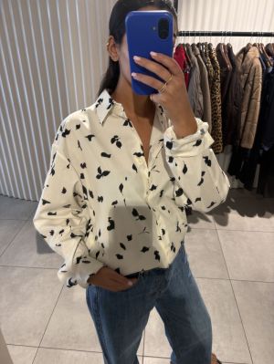 116212 P6012 meringa