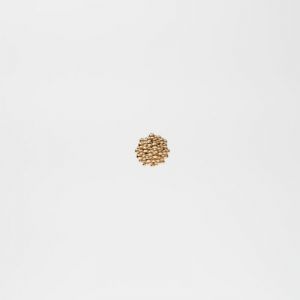 KELLY goud