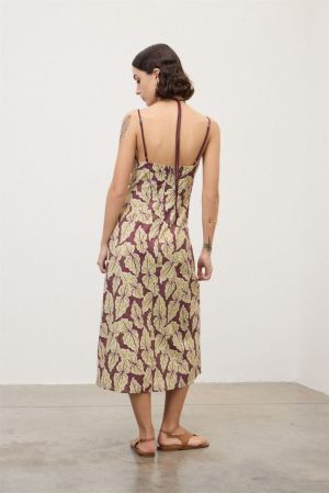 DA5394 merlot
