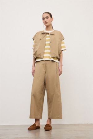 DP0037 corda