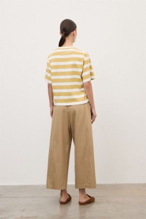 DP0037 corda