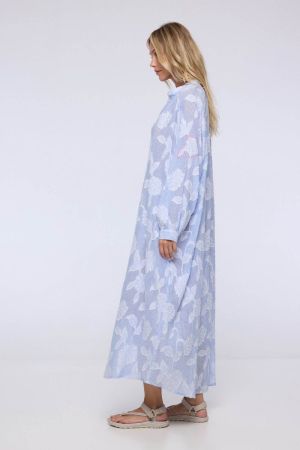 ASHVEM blue