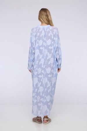 ASHVEM blue