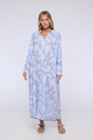 ASHVEM blue