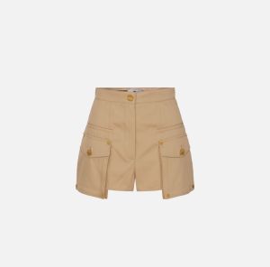 SH00661E2 camel