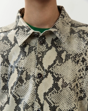 A6023 803 python