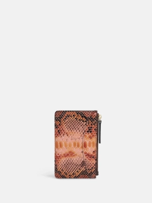 CURTIS rainbow python