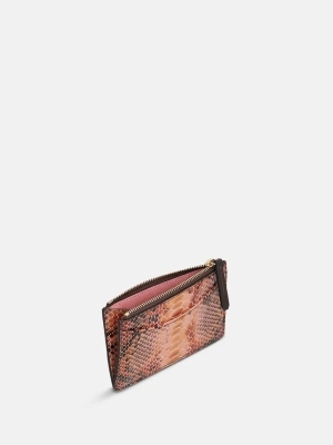CURTIS rainbow python